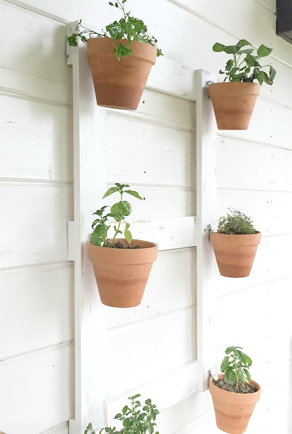 Now You Can Have Your Outdoor Wall Planters Done Safely