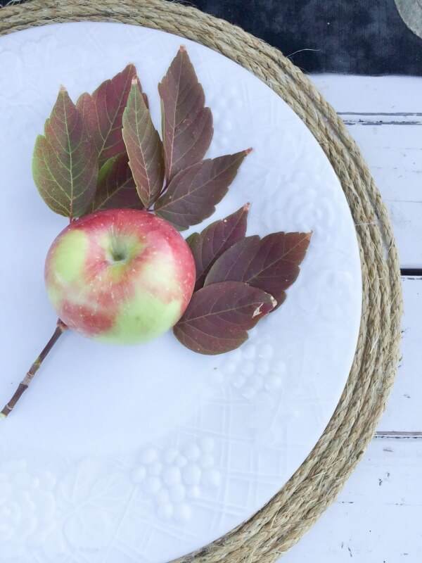outdoor-fall-tablescape