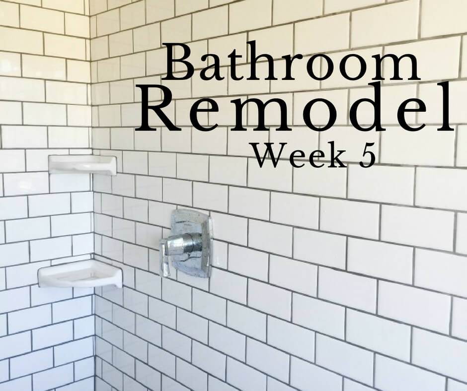 Master Bathroom Remodel Week 5 | The Final Push