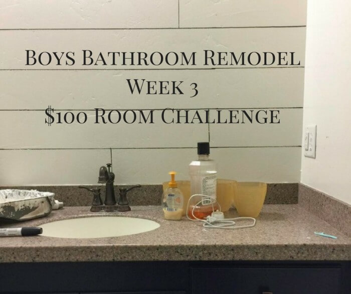 Boys Bathroom Remodel Week 3$100 Room Challenge