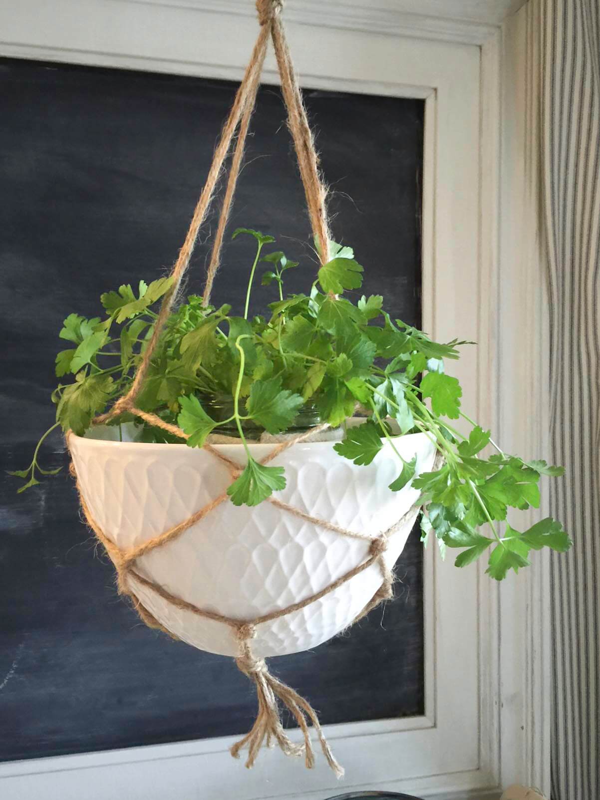 This DIY macrame hanging planter is so easy make!  Check out the full tutorial!