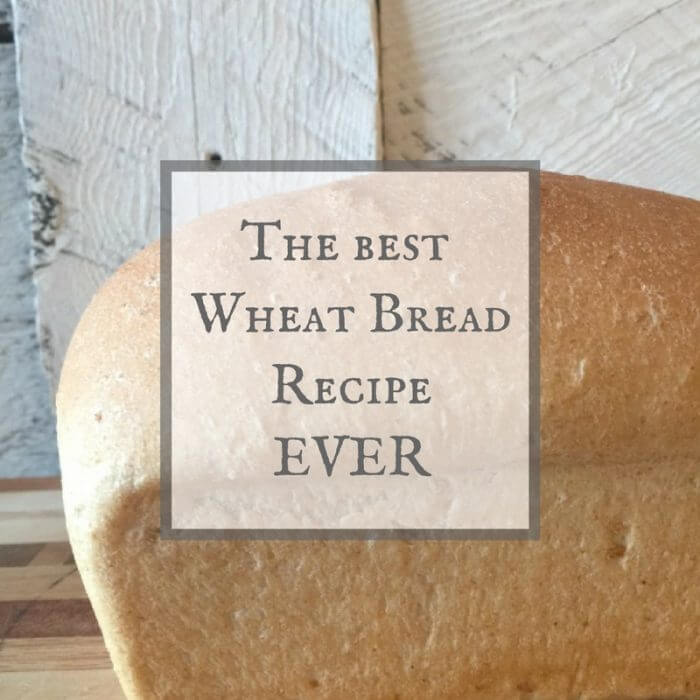 The Easiest Wheat Bread Recipe EVER