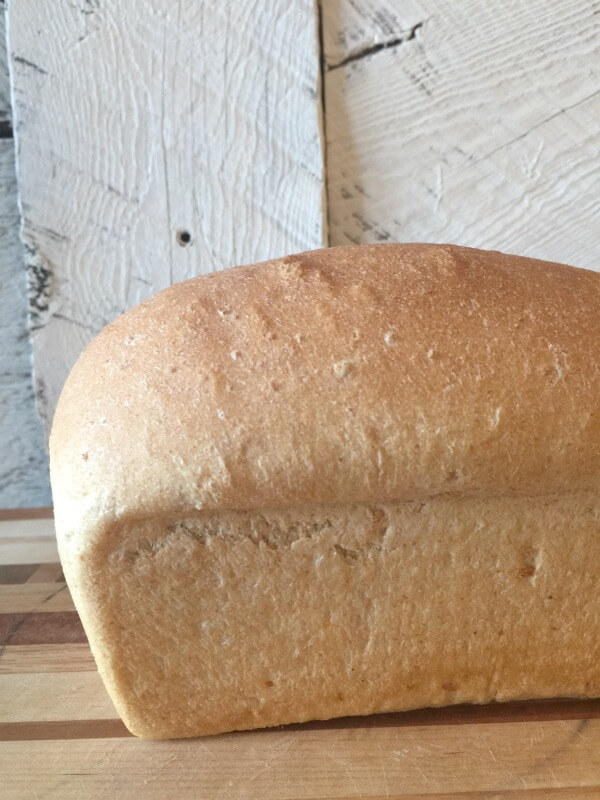 Oh my gosh, I could eat this whole thing. This is the best wheat bread recipe ever!