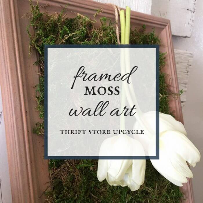 Framed Moss Wall Decor | Thrift Store Challenge