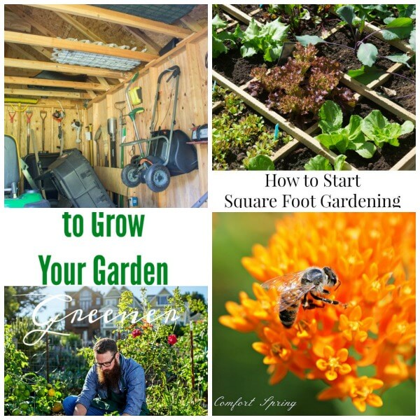 Do you love to garden? Want some helpful tips? I have 8 tips to make gardening easier this year! Check them out and enjoy your gardening!