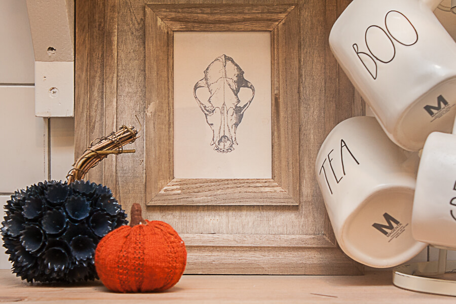 Such a cute vintage animal skull printable for Halloween! Get the whole set of 3!