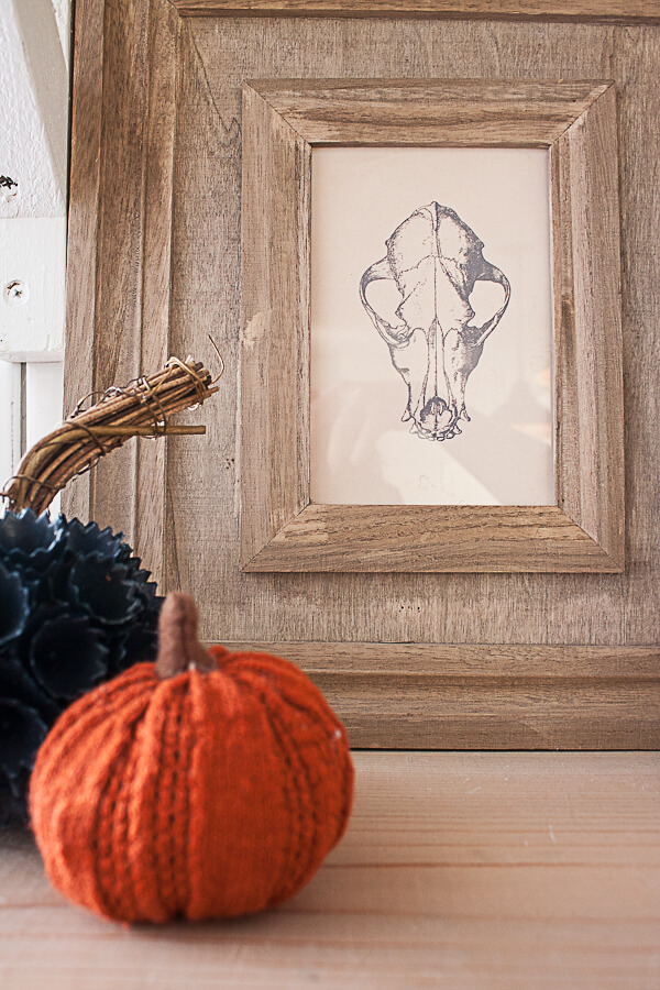Chic and stylish Halloween home decor. Get this animal skull printable for FREE as well!
