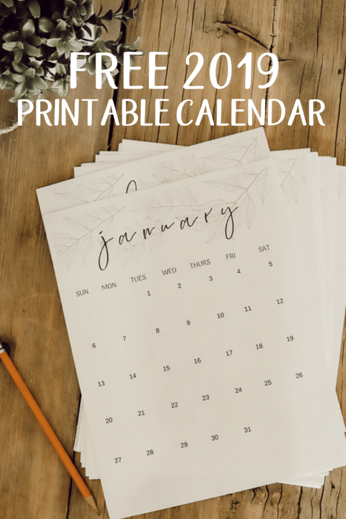 Get your life organized, or simply know what day it is with this adorable 2019 FREE printable monthly calendar!  Its perfect for your kitchen or office!