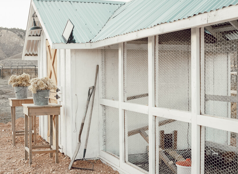 Chicken coop DIY ideas that will help you create the perfect home for your chickens.