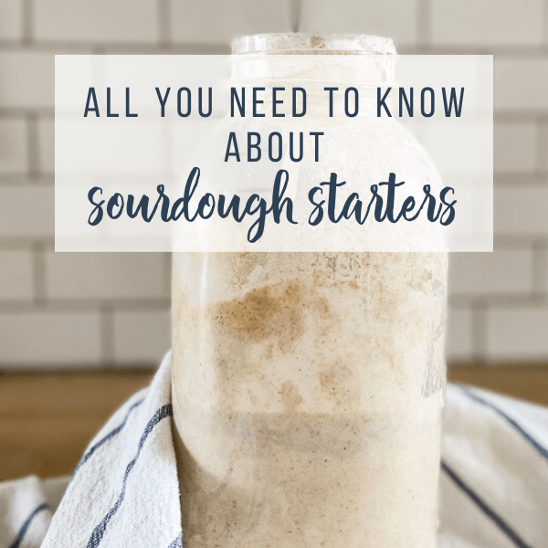Everything You Need to Know About Sourdough and Sourdough Starters