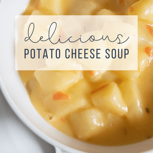 Easy Potato Cheese Soup Recipe Your Family Will Love