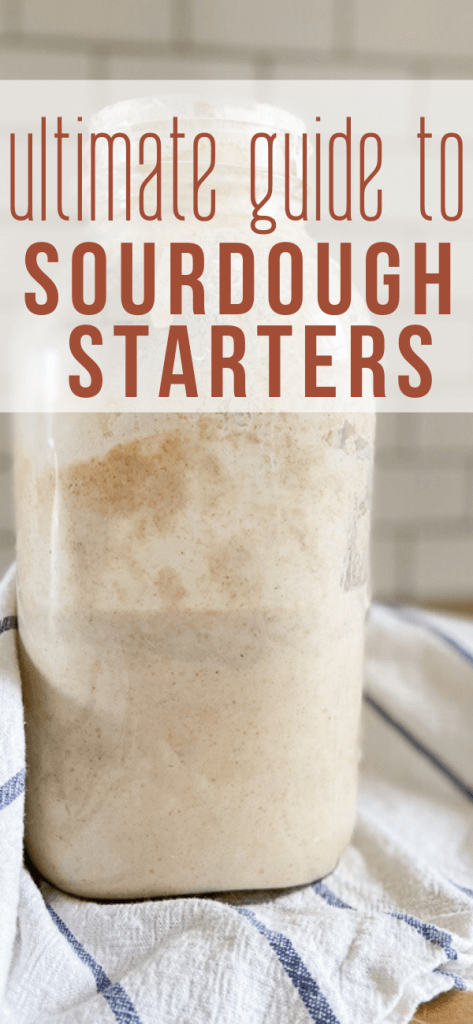 Everything you need to to know about sourdough and sourdough starter. Super helpful resources, step by step instructions for the day to day maintenance, troubleshooting tips(why does my sourdough starter smell nasty?) , and links to tons of great recipes and more!