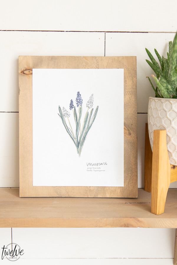 Get these free spring printables right now! These botanical illustration printables are FREE right now as well as exclusive access to my printable library and all the printables in it!