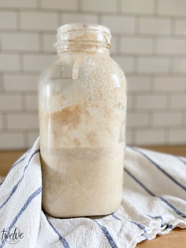 Everything You Need to Know About Sourdough and Sourdough Starters ...