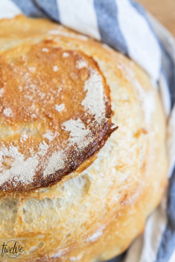 How to make an amazing dutch oven sourdough bread or sourdough boule! This has step by step instructions that make it really easy to plan your time and you will realize how easy it is to make!
