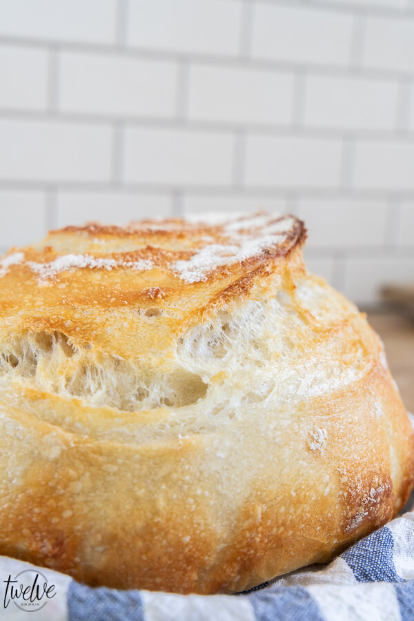 How to make an amazing dutch oven sourdough bread or sourdough boule! This has step by step instructions that make it really easy to plan your time and you will realize how easy it is to make!
