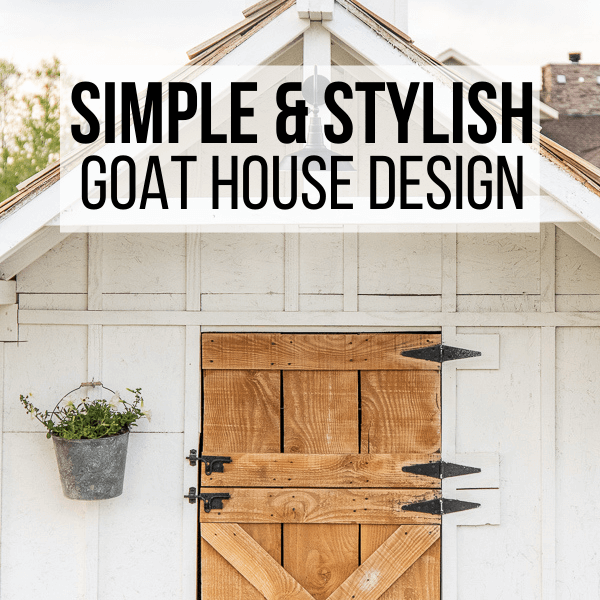 Simple and Stylish Goat House Design