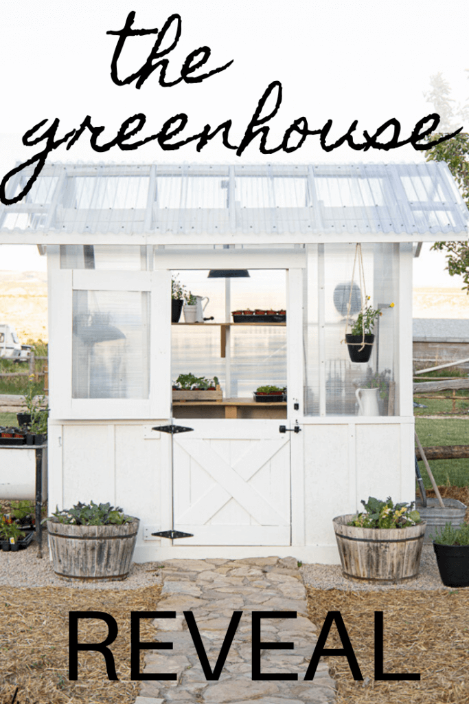 We built our own greenhouse! Our DIY greenhouse design is functional, stylish, and the most amazing place! If you need me, I will be hanging out inside.