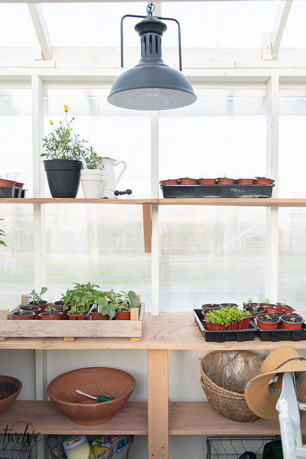 Inside our new greenhouse with gorgeous lights, rustic wood shelves, and even a secret desk for me! I may never leave.