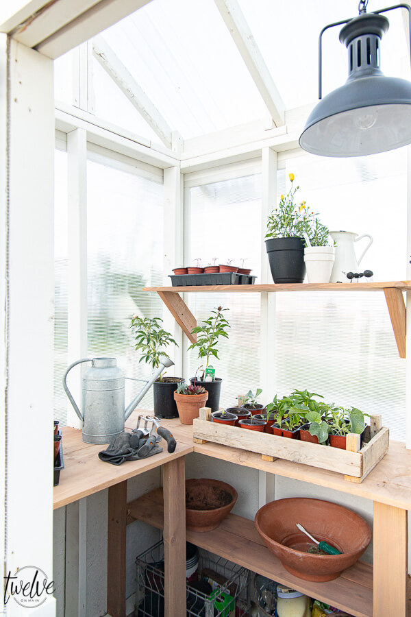 Inside our new greenhouse with gorgeous lights, rustic wood shelves, and even a secret desk for me! I may never leave.