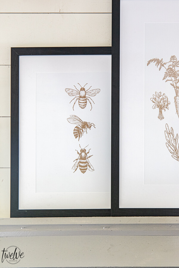 Summertime printables available for FREE! Summer bumble bee printable hanging with a deer antler mount and a vegetable garden printable.