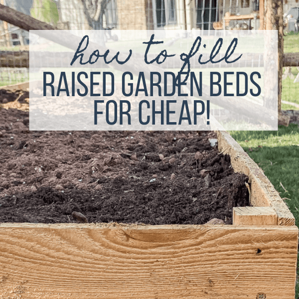 How to Fill a Raised Garden Bed and Save on Soil