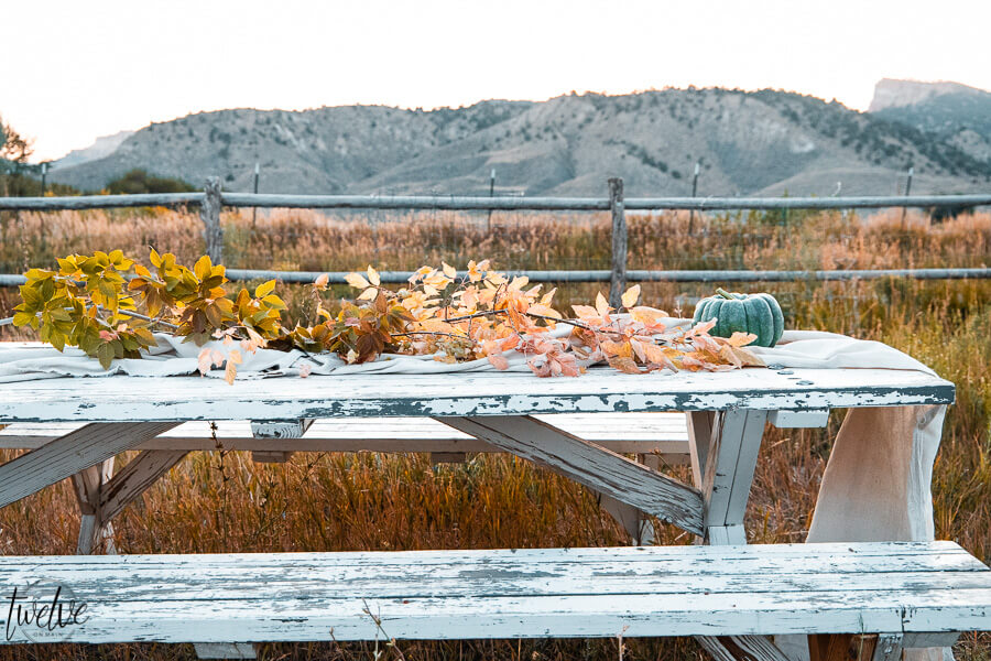 Fall dining in a field with canvas drop cloths as a table runner, fall leaves, real pumpkins all outside.