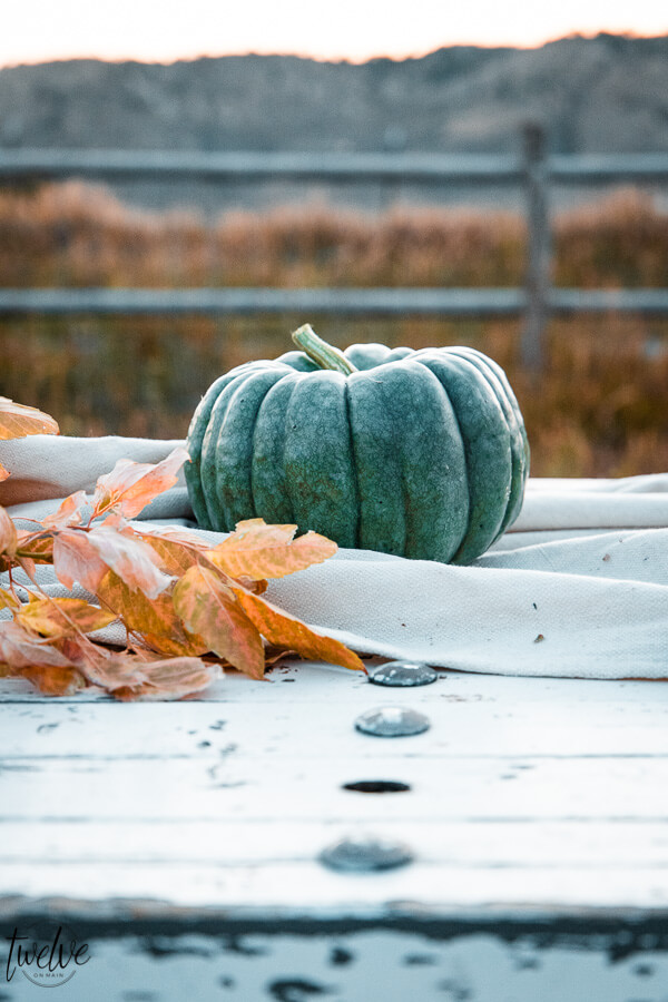 Fall dining in a field with canvas drop cloths as a table runner, fall leaves, real pumpkins all outside.