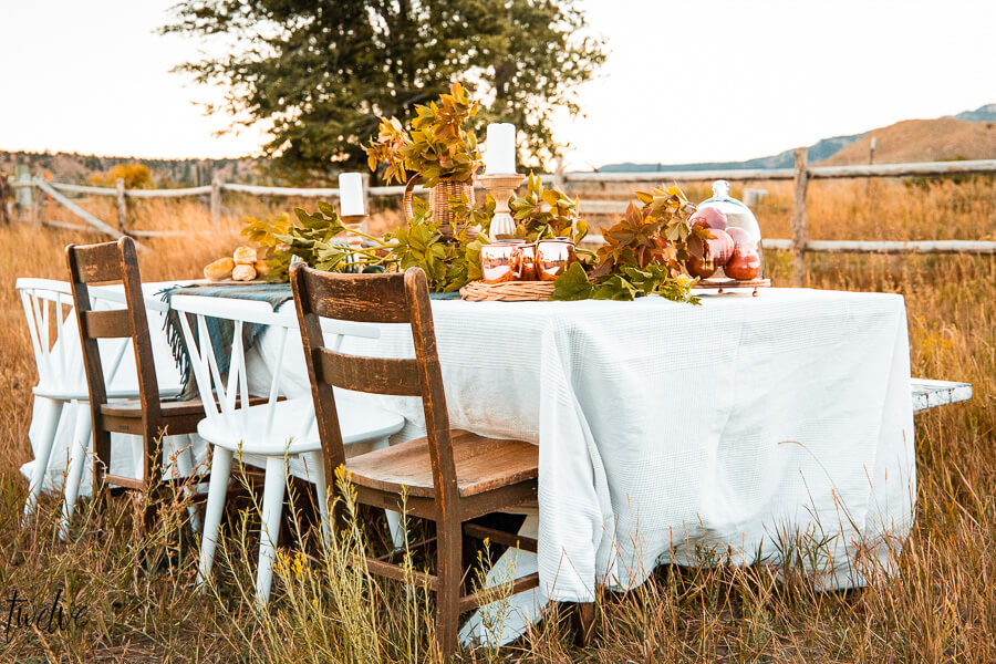 Outdoor fall entertaining, with simple fall table decor, set outside with a tall grass field as a backdrop.