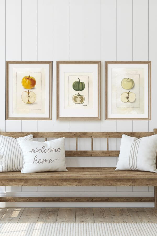 Get these great hand drawn fall printables for free!  There are two apple illustrations, as well as one pumpkin illustration. These are similar to botanical illustrations with a fall flare and hand drawn style.