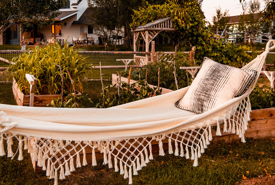 24 Outdoor Dining and Entertaining Tips for Your Backyard - Twelve On Main