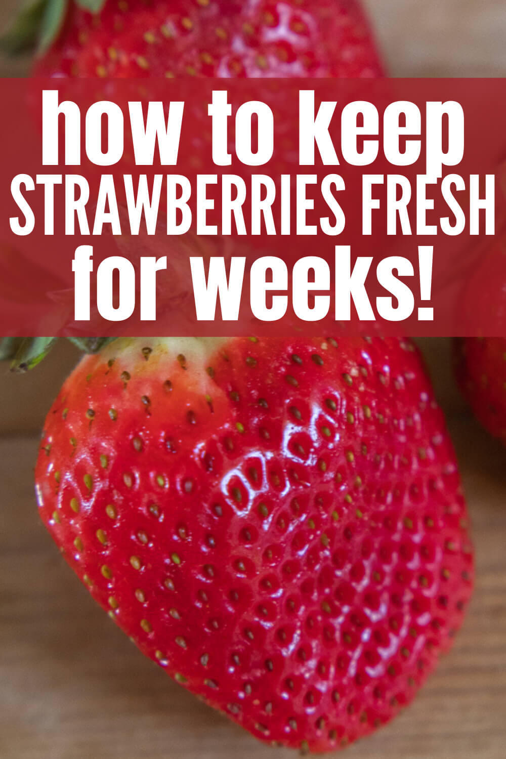 How to keep strawberries fresh for weeks!  These simple steps can change the way you keep these most delicate berries.  I have found mine to last up to three weeks instead of merely just a couple days.  Save money and get to enjoy all those strawberries you bought!