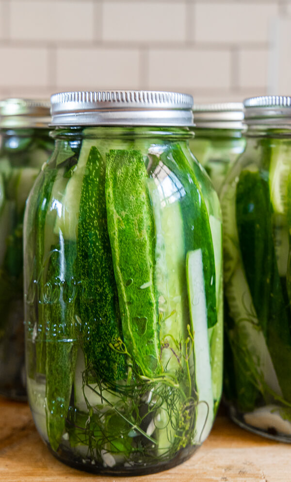 Easy Homemade Refrigerator Dill Pickles