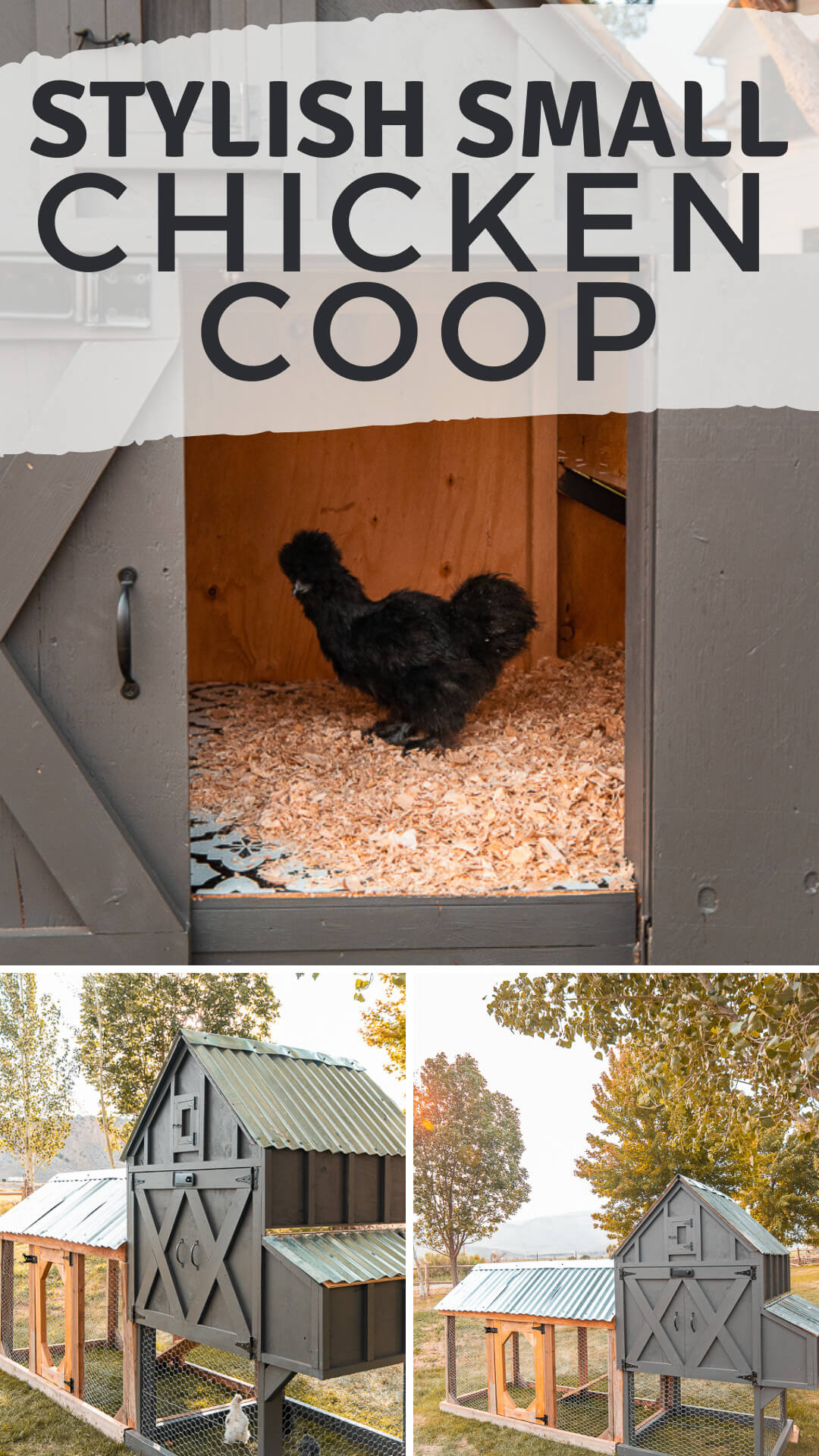 This small chicken coop is the newest addition to the farm. It is adorable and super functional with a removable floor, easy access and more! This chicken coop will house between 4-6 chickens in the coop. It has easy access to the eggs and nesting boxes. The coop is raised with a run underneath it. There are so many great features to this small chicken coop and to top it off it is stylish too!