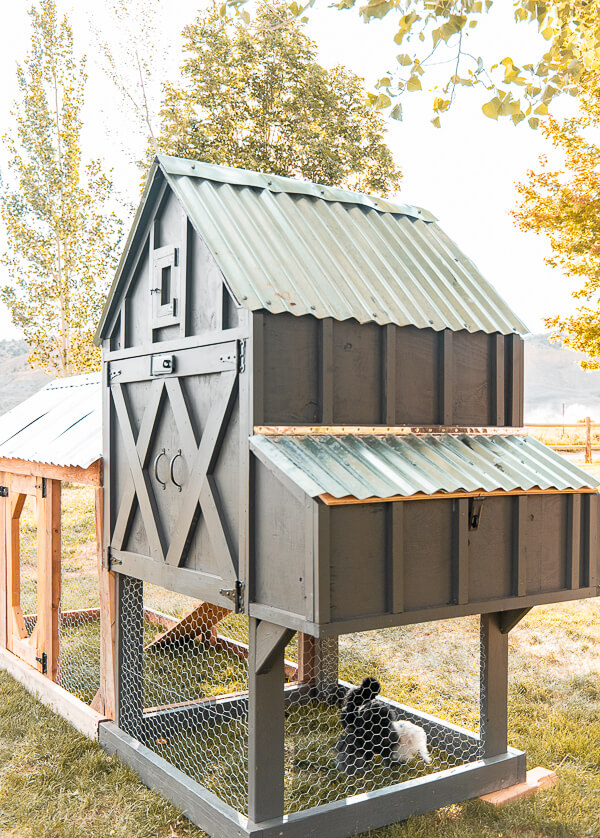This small chicken coop is the newest addition to the farm. It is adorable and super functional with a removable floor, easy access and more!