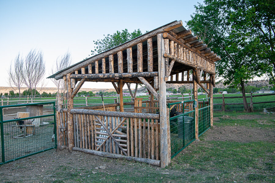 This pole barn shelter we built for our goats feed as well as our milking stand and more is so functional yet so beautiful too!