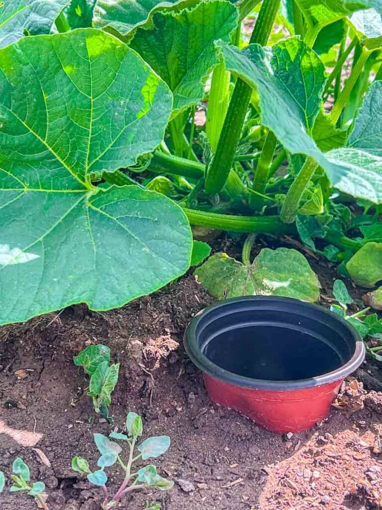 How to Water Plants in Raised Garden Beds Hack