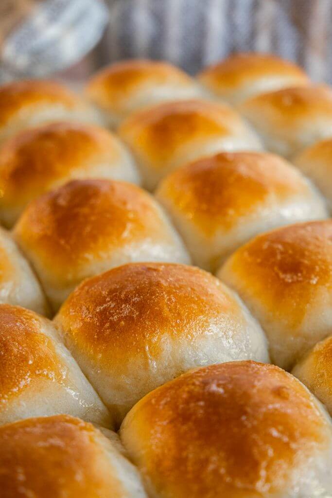 Make these easy soft sourdough dinner rolls on no time. They are soft and fluffy and only take 1-2 hours to make!