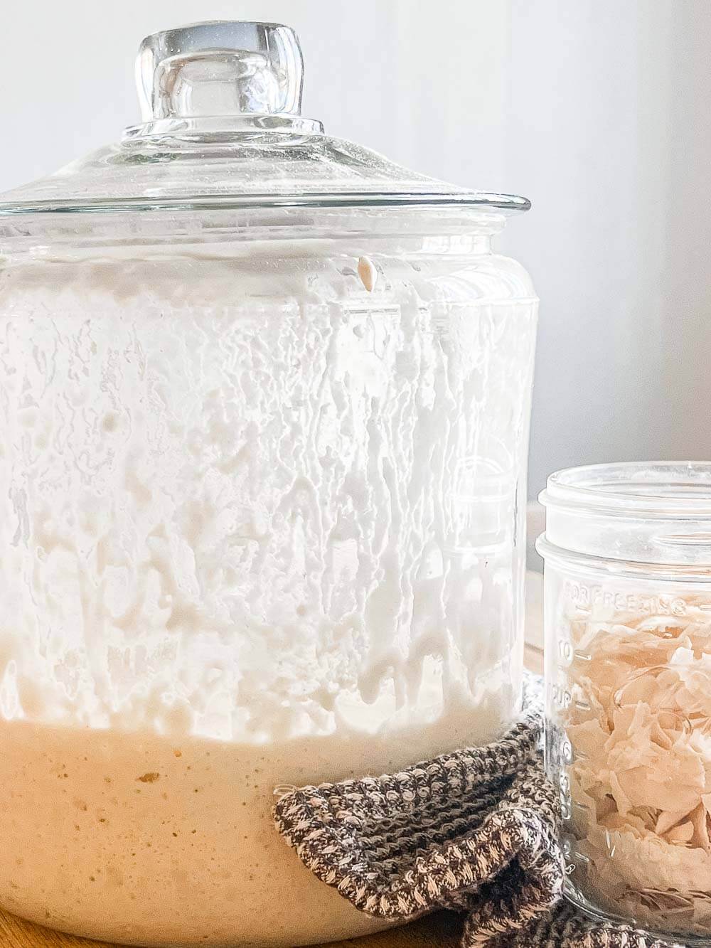 How to Store Sourdough Starter for Future Use ( 4 methods)
