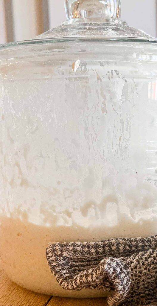 Learn how to store sourdough starter so that you can use it in the future. I have 4 ways to store your starter long term and preserve it.
